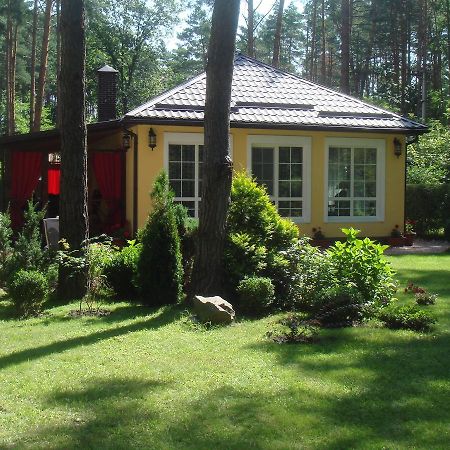Domik V Lesy Guest House Lyutezh Luaran gambar